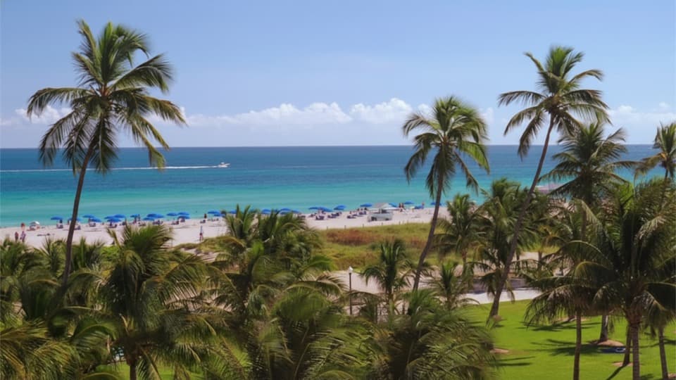 Miami, Florida HD Stock Footage.