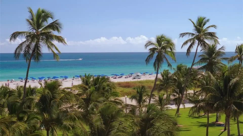 Miami, Florida HD Stock Footage.