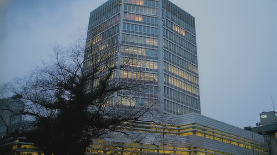 Switzerland - Geneva, Alps HD Stock Footage.