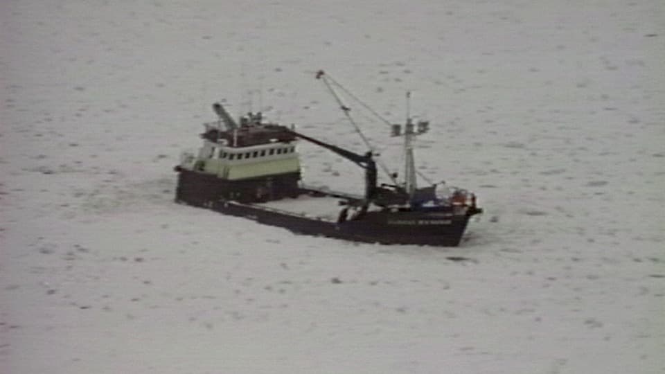 Coast Guard Rescues Stock Footage.