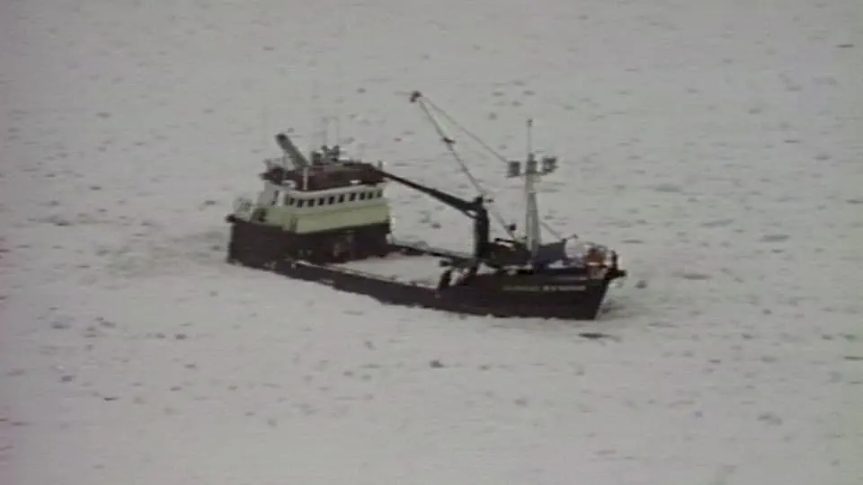 Coast Guard Rescues Stock Footage.