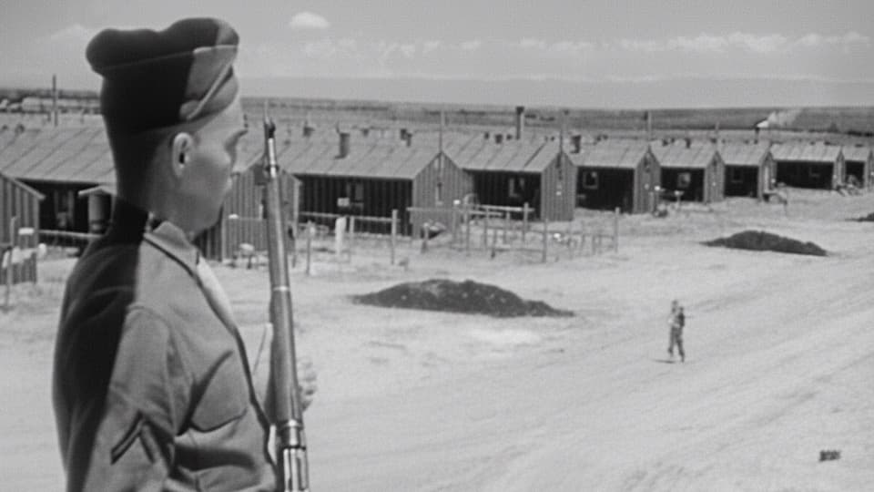Japanese internment camps 1942 stock footage thumbnail