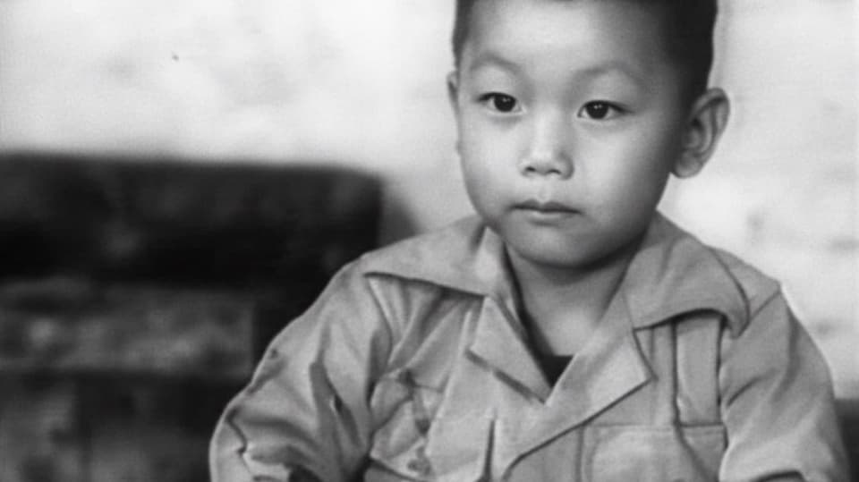 Little Flying Tiger stock footage thumbnail