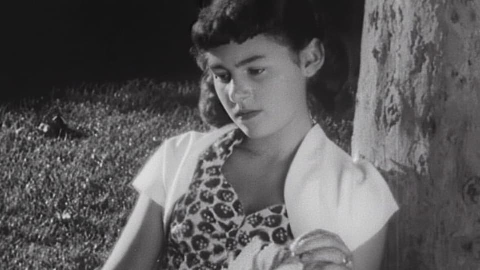 Sex Ed 1950s films Stock Footage.