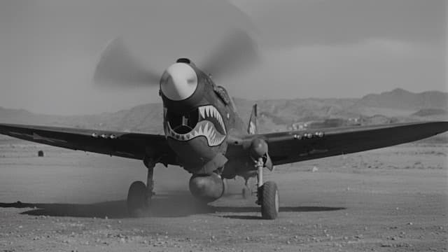 Curtiss P-40 Warhawk Stock Footage.