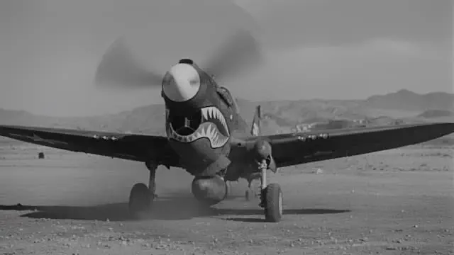Curtiss P-40 Warhawk Stock Footage.