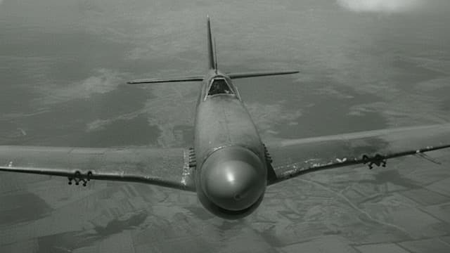 North American Aviation P-51 Mustang Stock Footage.