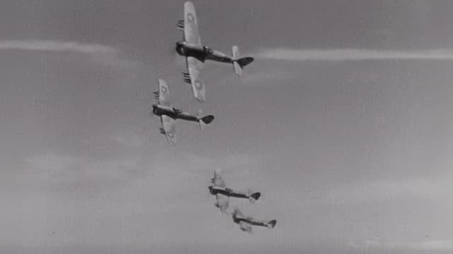 Hawker Typhoon Stock Footage.