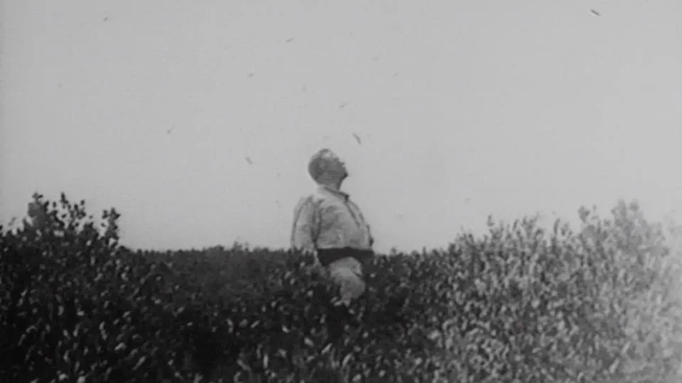 Theodore Roosevelt Stock Footage.