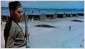WWII Japanese Internment Camps